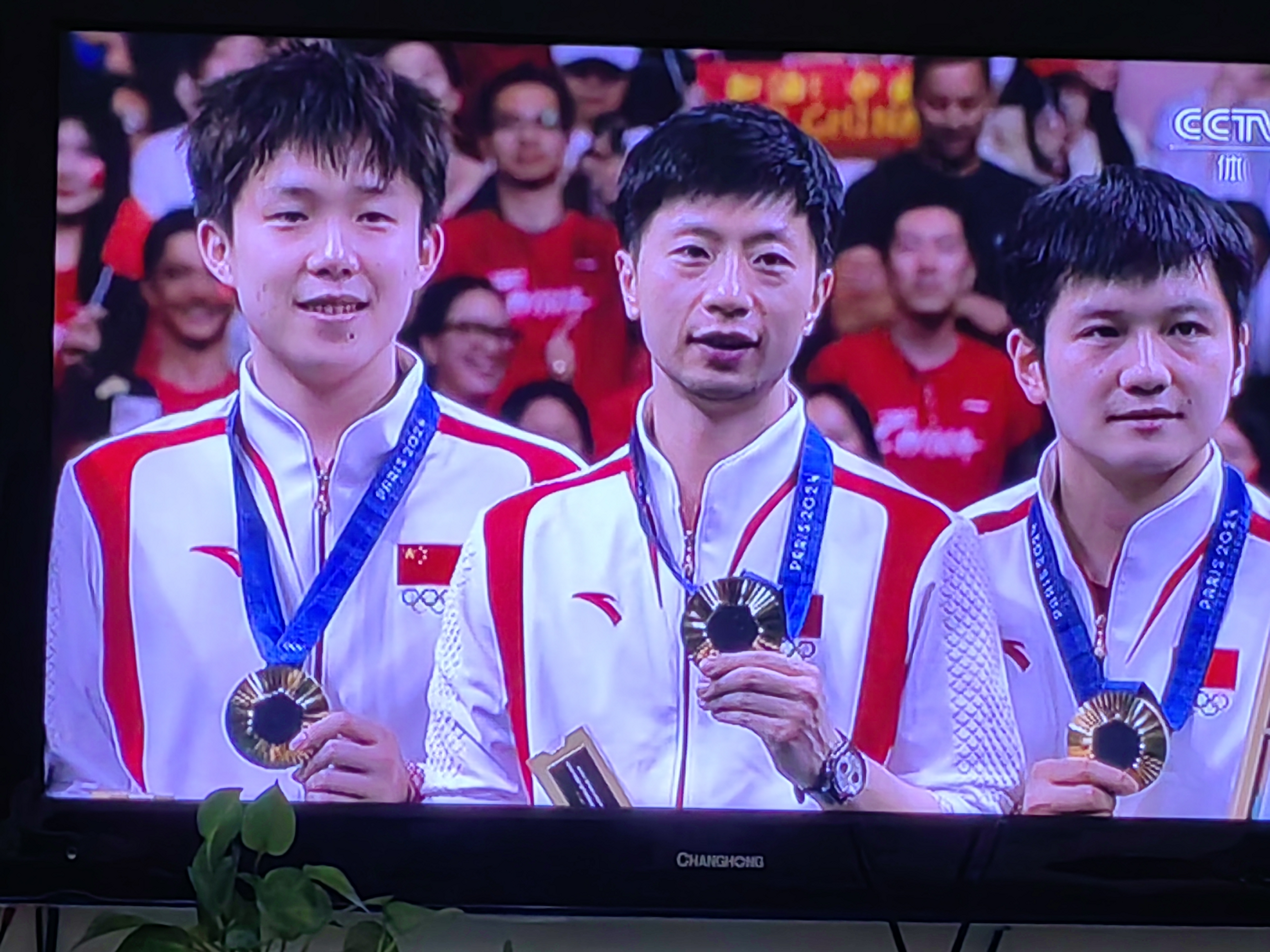 开云-韩国队完胜中国队,马龙点燃赛场的简单介绍