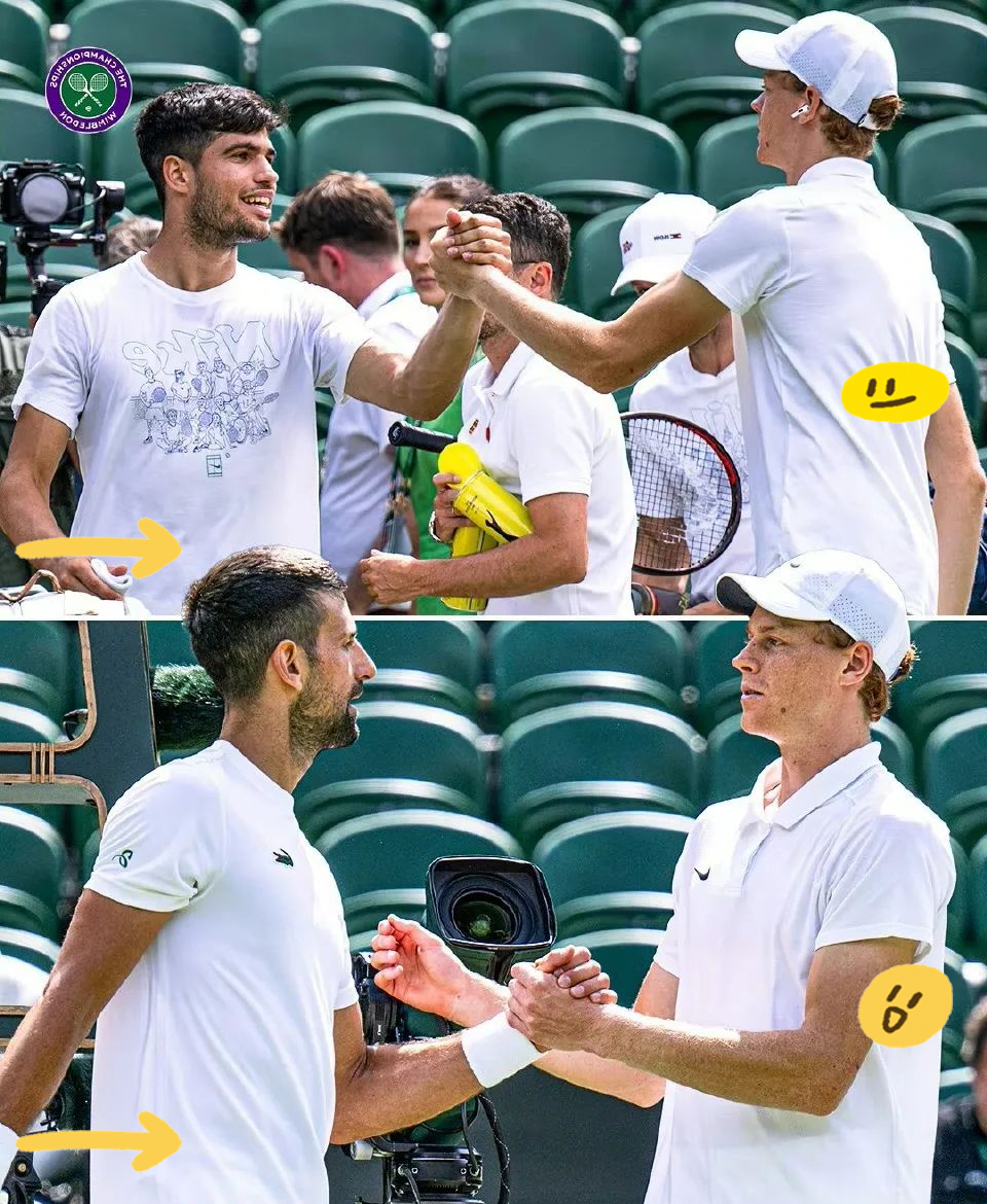 开云官网-法网碾压温网，穆雷惊艳四座