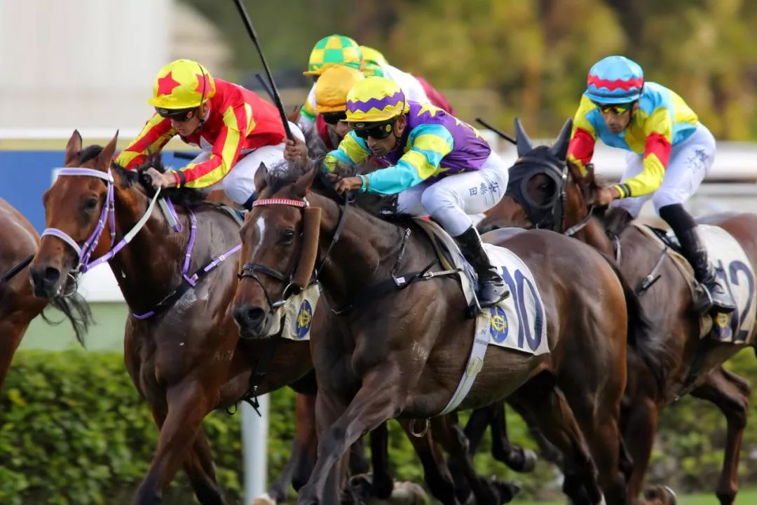 开云-墨西哥队心有所属，努力追赶取胜