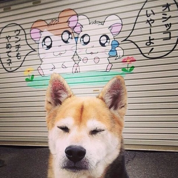 当凯尔特人风笛在伯纳乌响起，那些被忽略的英雄，如何用最意外的方式统治顶级舞台