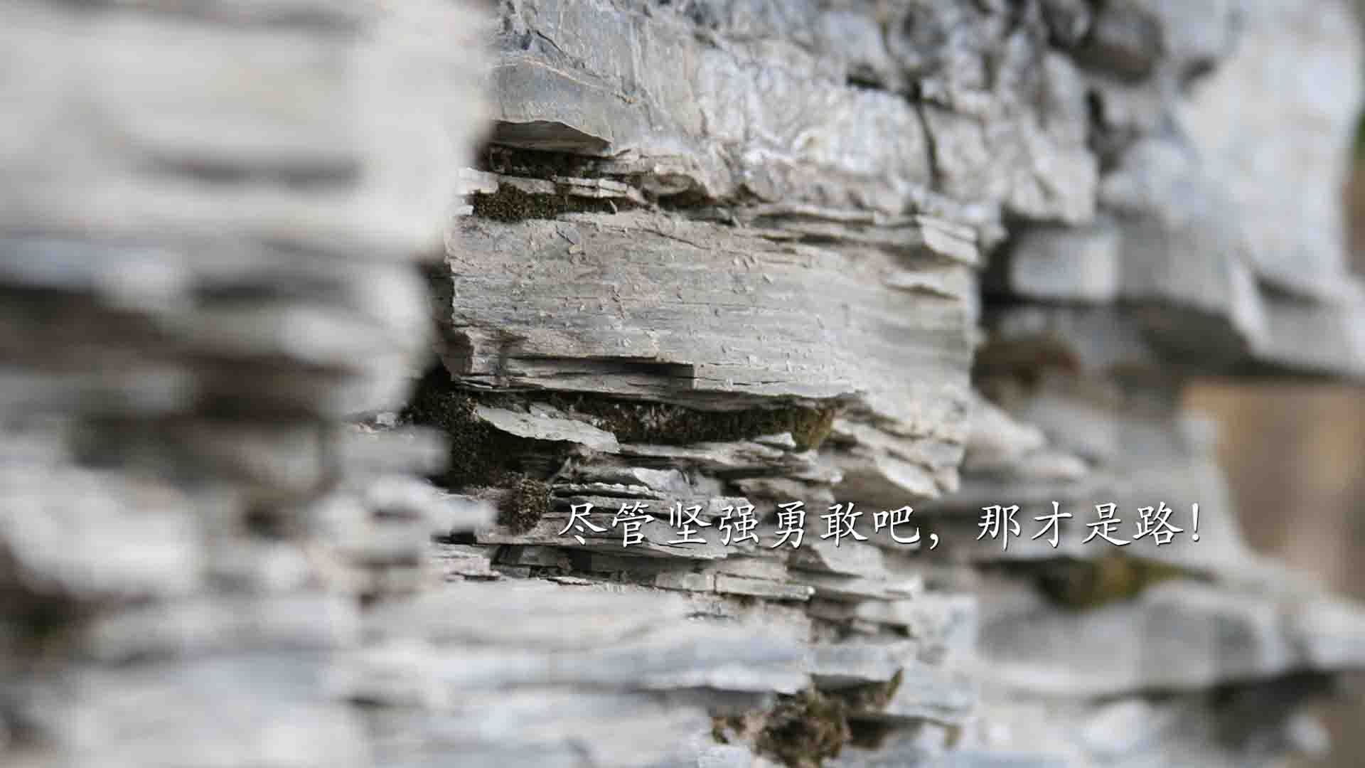 开云体育APP下载-瑞士绝杀背后,赖斯那一夜,怎样用一记心灵暗杀终结了克罗地亚的黄金时代?