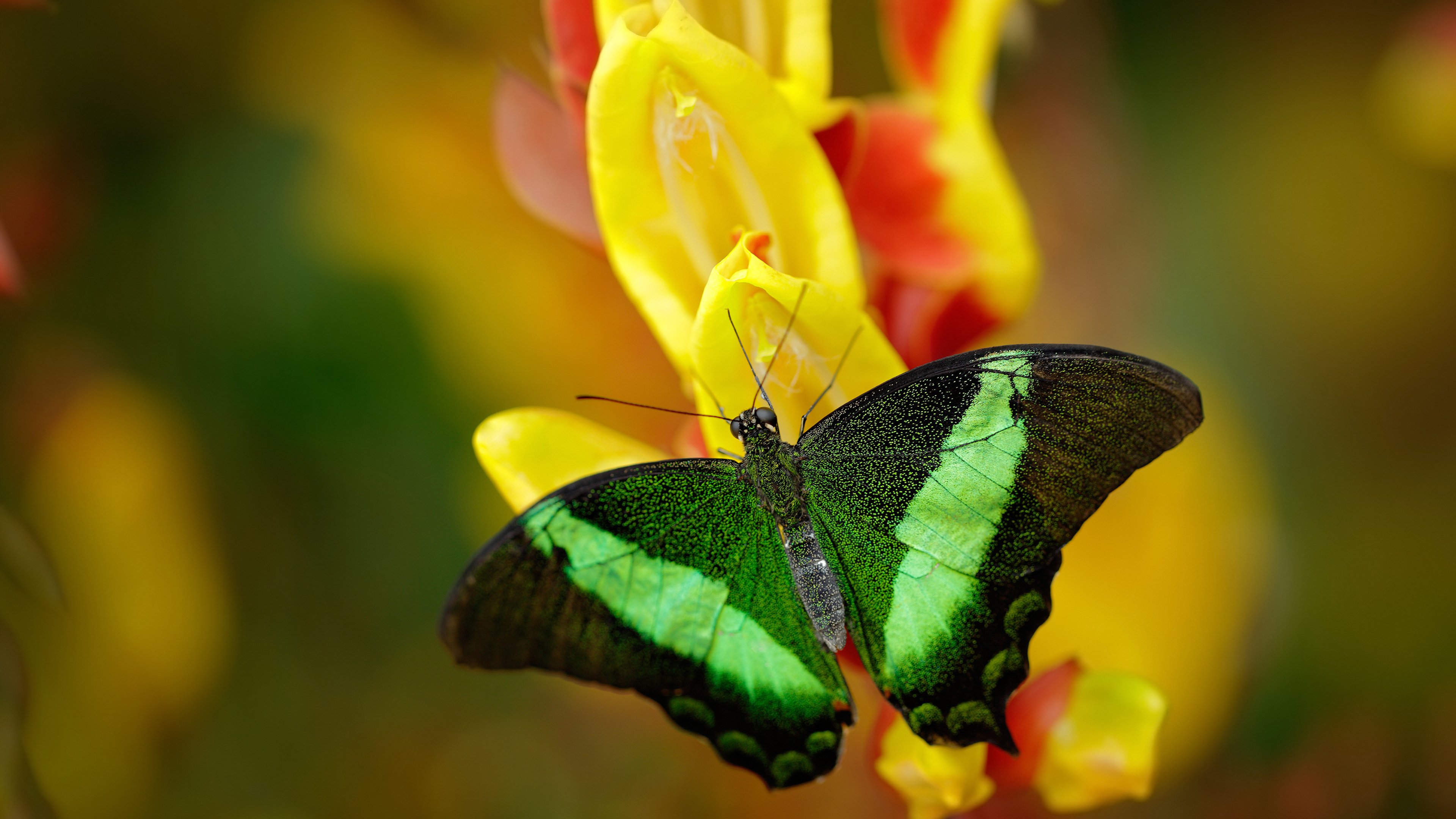 开云官网-哨响之前，尚未成局