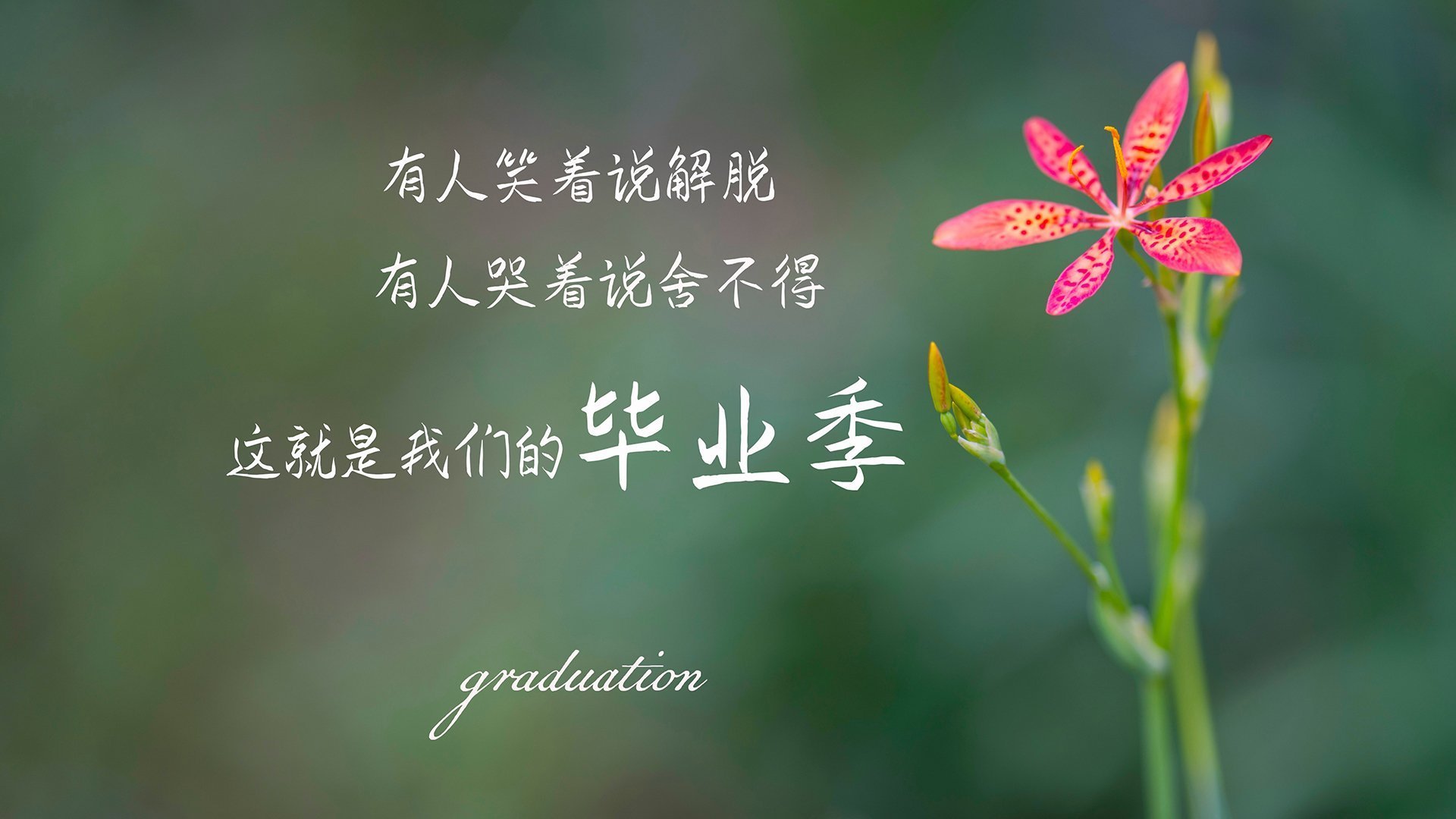 开云体育APP下载-现代篮球的暗面崛起，当肌肉记忆压垮三分浪潮