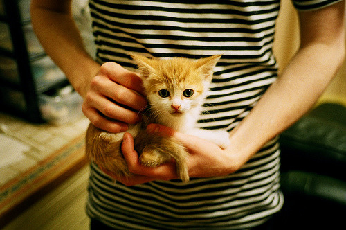 开云体育APP下载-从数据低谷到奇迹之夜,蒂亚戈在黑暗中点亮克罗地亚