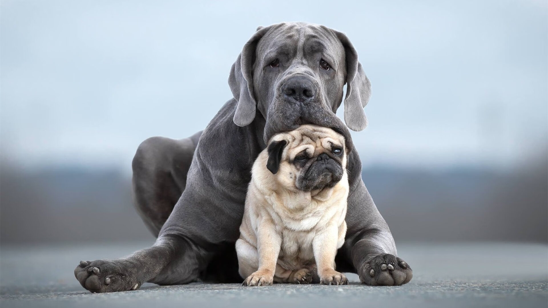 开云体育官网-亚平宁新王加冕之战,努涅斯独舞撕碎加纳防线,世界排名争夺战悬念再起