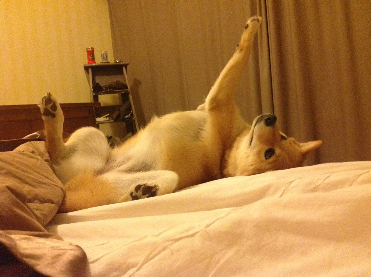 开云体育app-决斗交响曲,卡塞米罗的爆发与切尔西的节奏掌控术