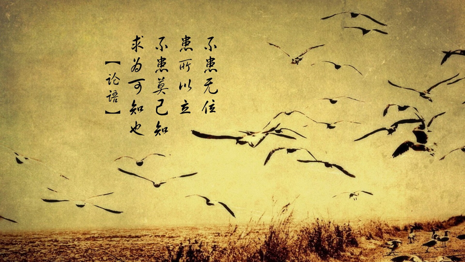 帕尔默，劈开雨幕的星光，扛起一支迷失的苏格兰