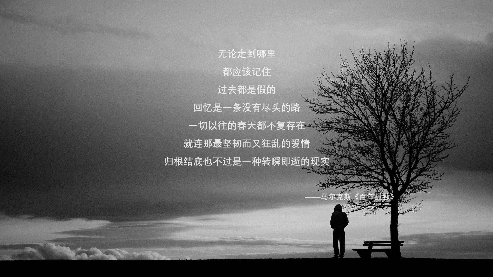 开云体育平台APP-秩序与火焰，南非终结伊朗的理性革命，卡马文加点燃赛场的暴烈美学