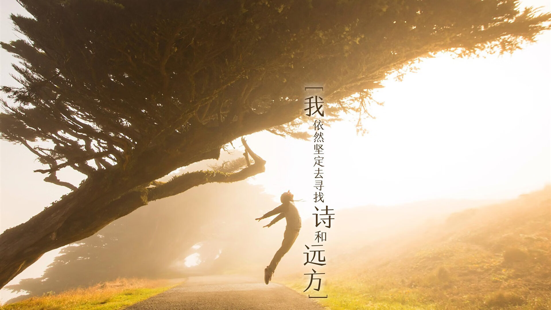 开云体育官网-星火燎原与铁血传承，当哈利伯顿的魔法照亮绿军紫金旧战场