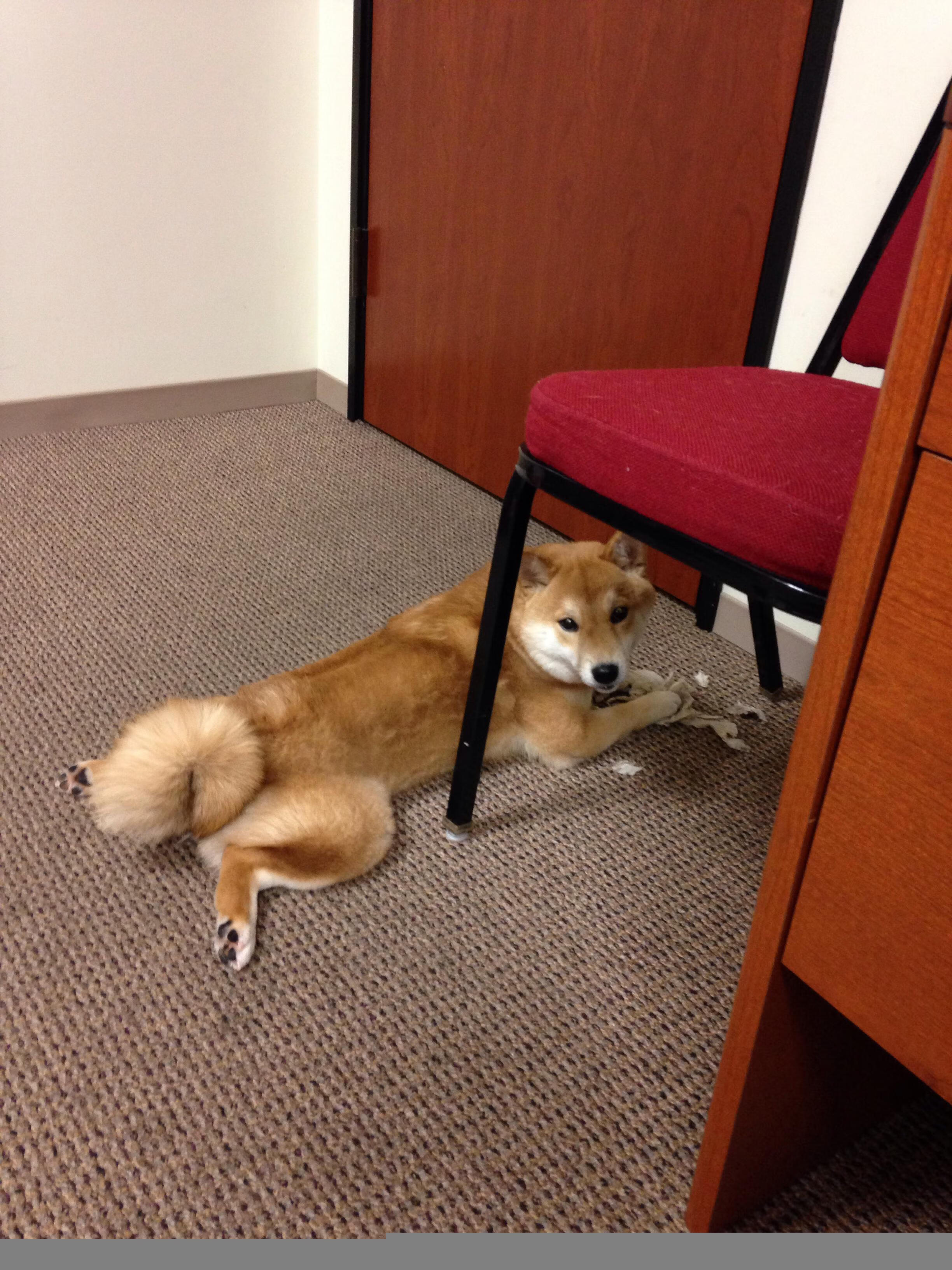 双重接管，从足球禁区到F1街道，统治力如何炼成