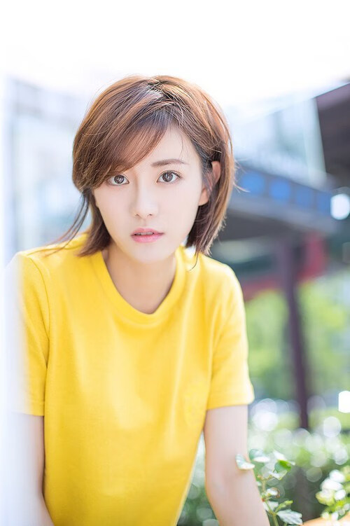 开云-平行宇宙的绝境，太阳熄灭与欧陆烽火，同一枚硬币的两面