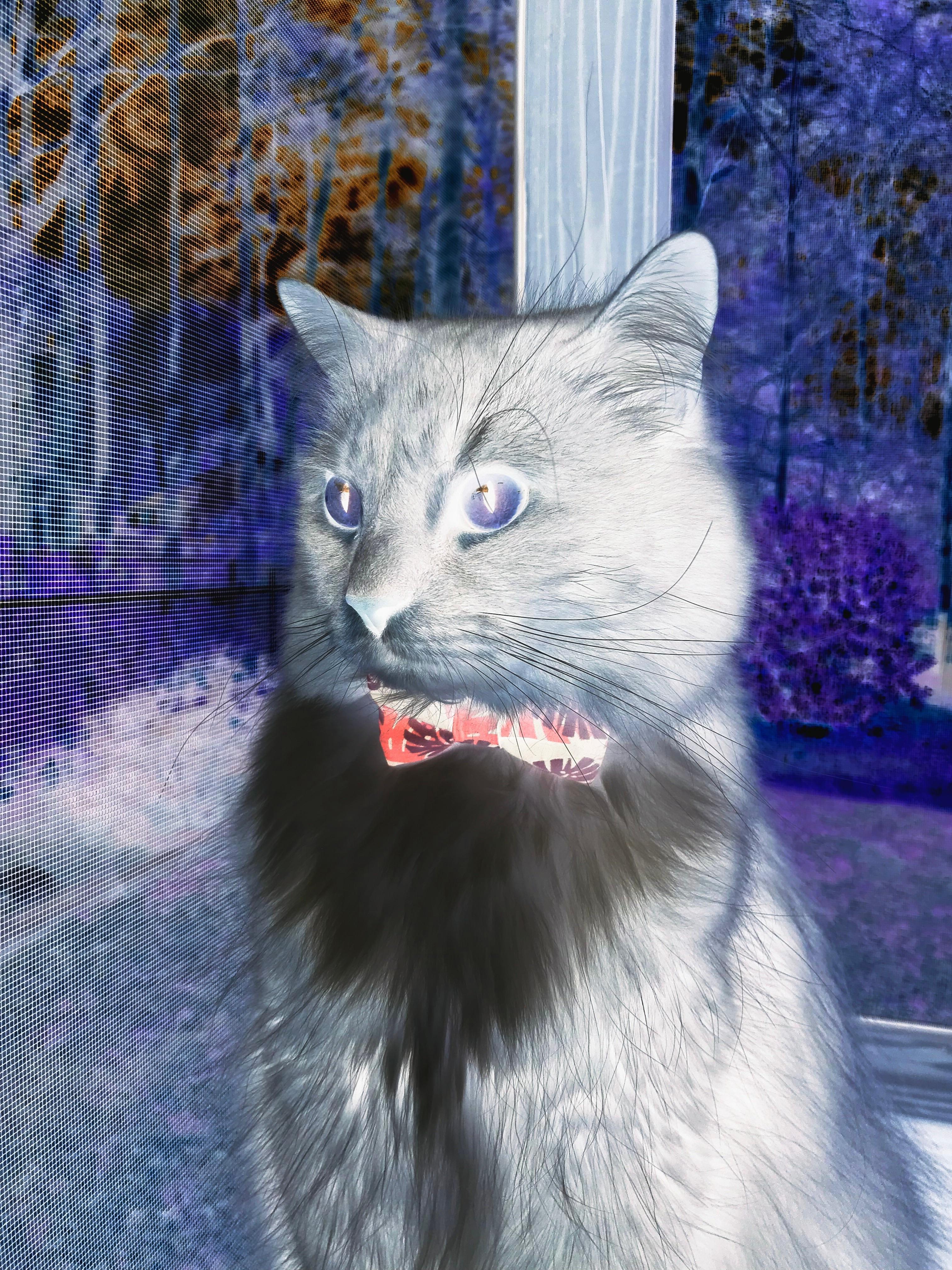 开云-血色棋盘，当掘金用高原铁律凿穿奇才的星火棋盘—一场定义赛季走向的排名绞杀战