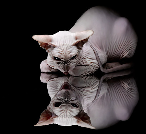 开云体育官网-双城记，迪巴拉用脚赎罪，希腊以纪律正名—两种救赎的平行史诗