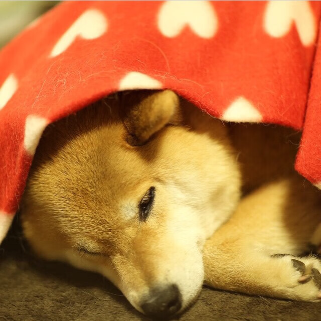 开云体育在线-瑞士胜加纳与加克波欧冠封神，足球巅峰对决中的个人与集体胜利