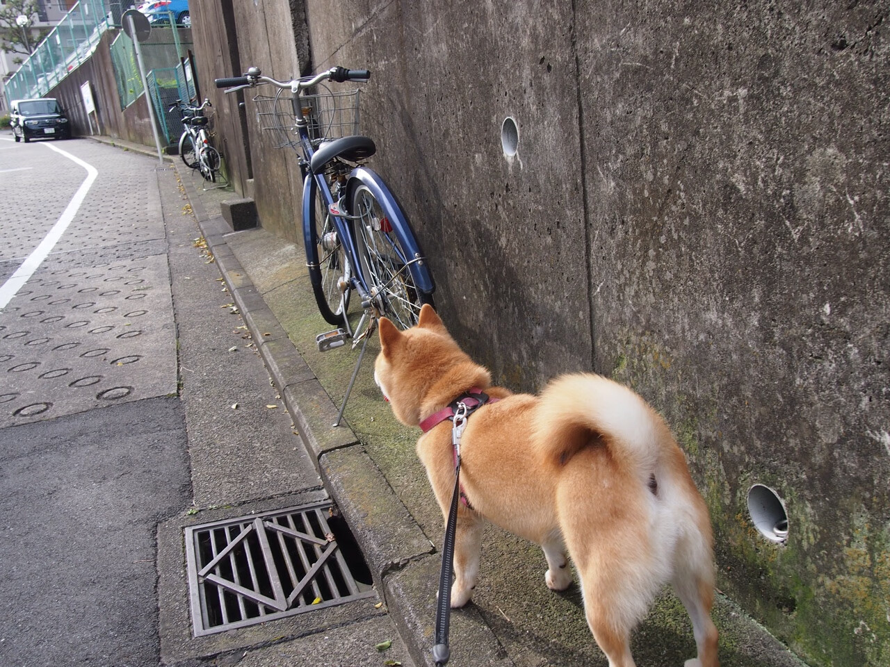 瑞士胜加纳与加克波欧冠封神，足球巅峰对决中的个人与集体胜利