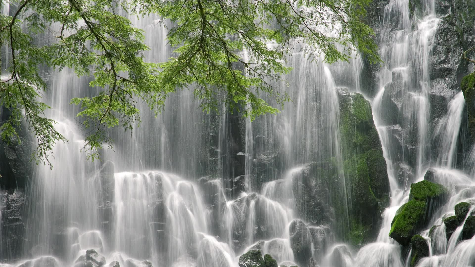 最后一位蓝武士,格列兹曼在2026世界杯F组的绝唱,如何用一己之力改写了美国和乌拉圭的宿命