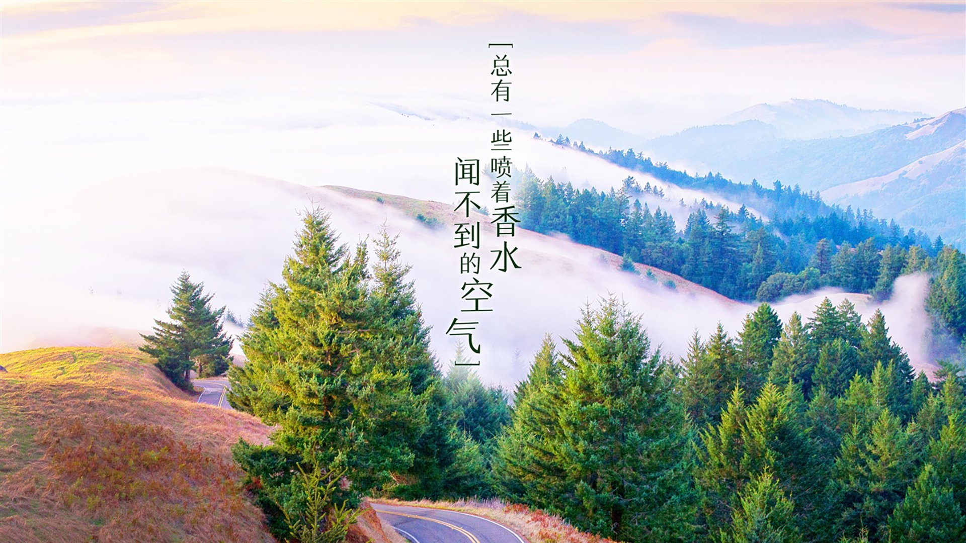 (选择其一或融合使用)